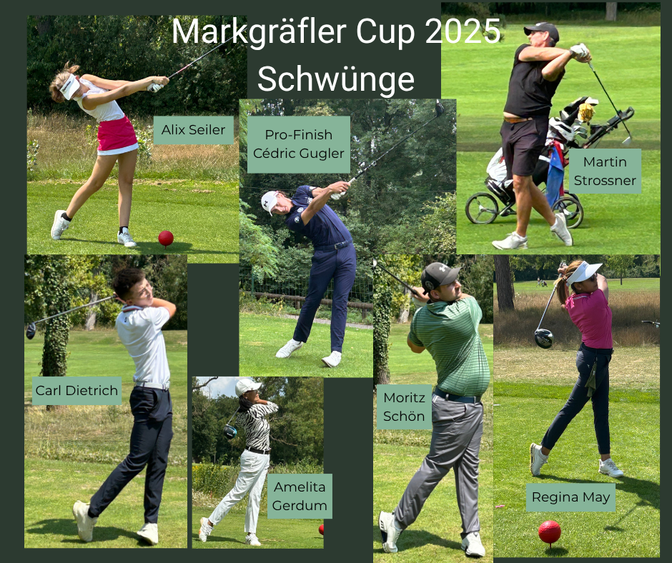Schwünge